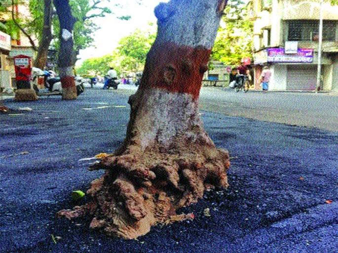 What is the green cover on paper? | कागदावरील हिरवळ काय कामाची? What is the green cover on paper? | कागदावरील हिरवळ काय कामाची?