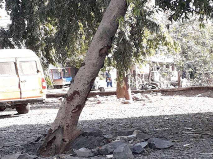 Road work without cutting down trees | झाडे न तोडताच रस्त्याचे काम Road work without cutting down trees | झाडे न तोडताच रस्त्याचे काम