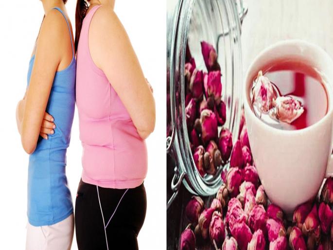 Rose Tea is best way of instant weight loss. | गुलाबाच्या चहाने झटपट वजन करा कमी, ना डाएटची कटकट ना व्यायामाची झंझट! Rose Tea is best way of instant weight loss. | गुलाबाच्या चहाने झटपट वजन करा कमी, ना डाएटची कटकट ना व्यायामाची झंझट!