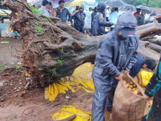 A tree was uprooted in the weekly market in Rajapur; One dead, four injured | Ratnagiri: राजापुरात आठवडा बाजारात झाड उन्मळून पडले; एकाचा मृत्यू, चौघे जखमी A tree was uprooted in the weekly market in Rajapur; One dead, four injured | Ratnagiri: राजापुरात आठवडा बाजारात झाड उन्मळून पडले; एकाचा मृत्यू, चौघे जखमी