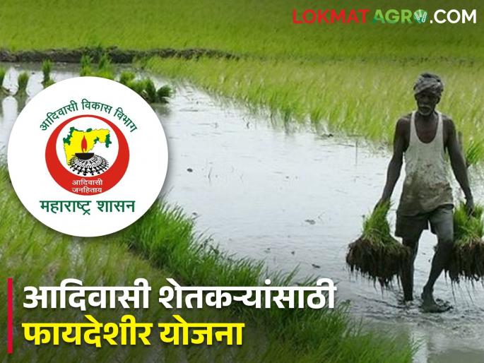 Latest News Schemes are getting 100 percent subsidy from tribal development department | आदिवासी विकास विभागाकडून 'या' योजनांना मिळतंय 100 टक्के अनुदान Latest News Schemes are getting 100 percent subsidy from tribal development department | आदिवासी विकास विभागाकडून 'या' योजनांना मिळतंय 100 टक्के अनुदान
