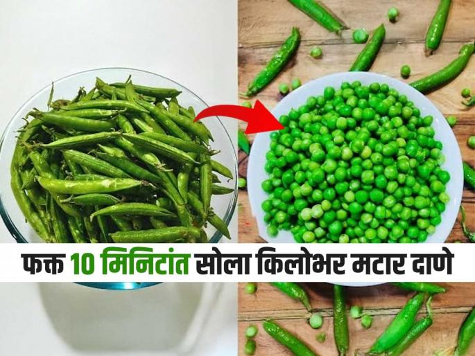 try these easy tips tricks to peel green peas easily trick to peel green peas in minutes how to peel green peas fast | किलोभर मटार सोला झटपट! ३ ट्रिक्स-मटार सोलायचे किचकट काम करा काही मिनिटांत पटपट...