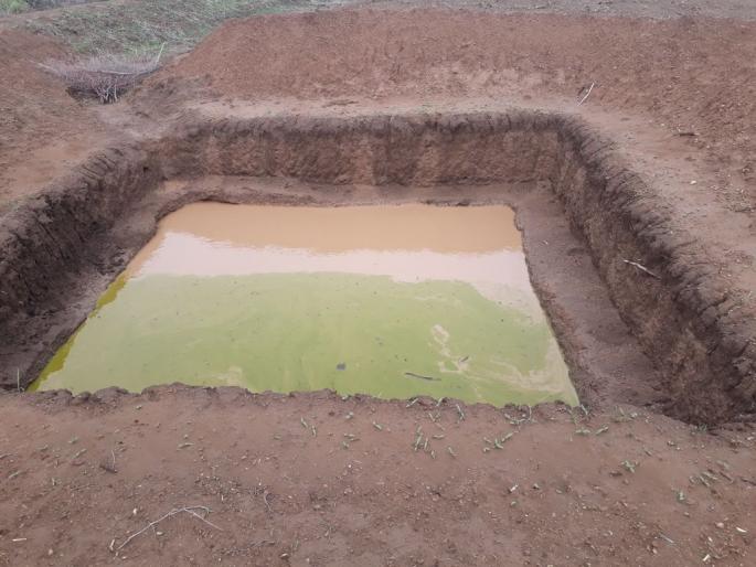 Hey wonder ... Tricolor has landed naturally in the field! | अहो आश्चर्यम... शेततळ्यात नैसर्गिकरित्या साकारला गेला तिरंगा! Hey wonder ... Tricolor has landed naturally in the field! | अहो आश्चर्यम... शेततळ्यात नैसर्गिकरित्या साकारला गेला तिरंगा!