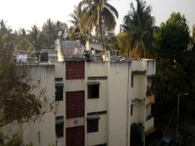 Suspected death of 8 stray dogs and 10 cat in Yerwada area | येरवडा परिसरात ८ भटकी कुत्री व १० मांजरांचा संशयास्पद मृत्यू Suspected death of 8 stray dogs and 10 cat in Yerwada area | येरवडा परिसरात ८ भटकी कुत्री व १० मांजरांचा संशयास्पद मृत्यू