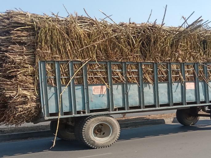 Biker dies after being run over by tractor wheel; Incident in Shirur taluka | ट्रॅक्टर चाक अंगावरून गेल्याने दुचाकीस्वाराचा मृत्यू; शिरूर तालुक्यातील घटना Biker dies after being run over by tractor wheel; Incident in Shirur taluka | ट्रॅक्टर चाक अंगावरून गेल्याने दुचाकीस्वाराचा मृत्यू; शिरूर तालुक्यातील घटना