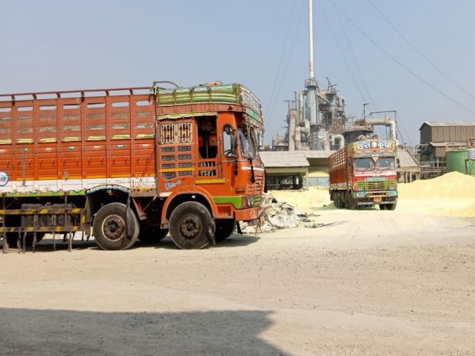 A young man died after being crushed under the wheels of a truck while backing it up; Incident at Ramakrishni Company in Loni Kalbhor | ट्रक मागे घेताना चाकाखाली चिरडून तरुणाचा मृत्यू; लोणी काळभोरमधील रामाकृषी कंपनीतील घटना A young man died after being crushed under the wheels of a truck while backing it up; Incident at Ramakrishni Company in Loni Kalbhor | ट्रक मागे घेताना चाकाखाली चिरडून तरुणाचा मृत्यू; लोणी काळभोरमधील रामाकृषी कंपनीतील घटना
