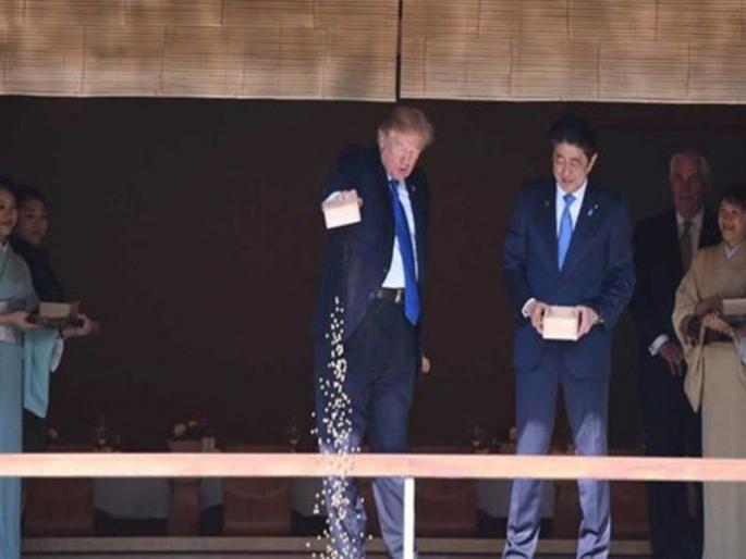 Trump got a banana doda rafta, and got food on Twitter | ट्रम्प यांनी केला डबा उपडा, माशांसह ट्विटरला मिळालं खाद्य Trump got a banana doda rafta, and got food on Twitter | ट्रम्प यांनी केला डबा उपडा, माशांसह ट्विटरला मिळालं खाद्य