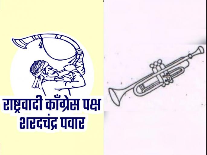 maharashtra assembly vidhan sabha election 2024 tutari and trumpet face to face in 6 constituencies in ahilya nagar | ६ मतदारसंघांत 'तुतारी'-'ट्रम्पेट' आमने-सामने; सर्वाधिक ११ मतदारसंघांत 'ट्रम्पेट' चिन्हावर उमेदवार maharashtra assembly vidhan sabha election 2024 tutari and trumpet face to face in 6 constituencies in ahilya nagar | ६ मतदारसंघांत 'तुतारी'-'ट्रम्पेट' आमने-सामने; सर्वाधिक ११ मतदारसंघांत 'ट्रम्पेट' चिन्हावर उमेदवार