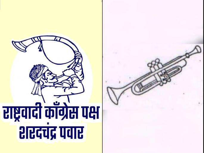 maharashtra assembly vidhan sabha election 2024 eleven independents want trumpet symbol in parner | अकरा अपक्षांना हवे 'पिपाणी' चिन्ह; लोकसभेत मिळाले होते ४५ हजारांहून अधिक मतदान maharashtra assembly vidhan sabha election 2024 eleven independents want trumpet symbol in parner | अकरा अपक्षांना हवे 'पिपाणी' चिन्ह; लोकसभेत मिळाले होते ४५ हजारांहून अधिक मतदान