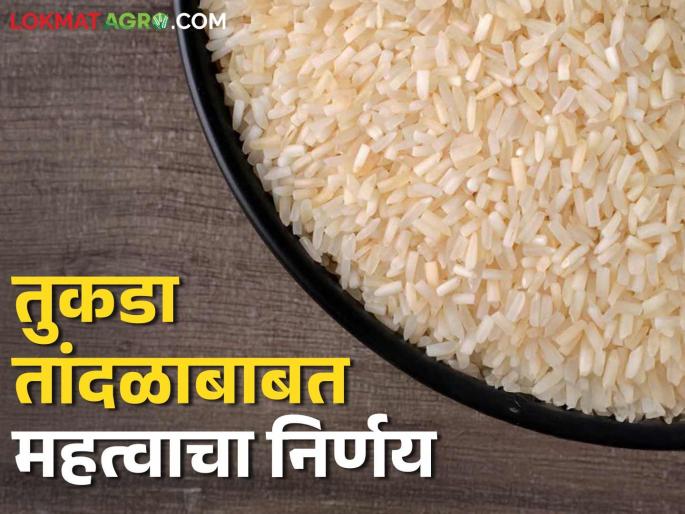 Rice Export : Indian government lifts ban on export of tukada tandul rice | Rice Export : तुकडा तांदळाच्या निर्यातीवरील बंदी भारत सरकारने उठवली Rice Export : Indian government lifts ban on export of tukada tandul rice | Rice Export : तुकडा तांदळाच्या निर्यातीवरील बंदी भारत सरकारने उठवली