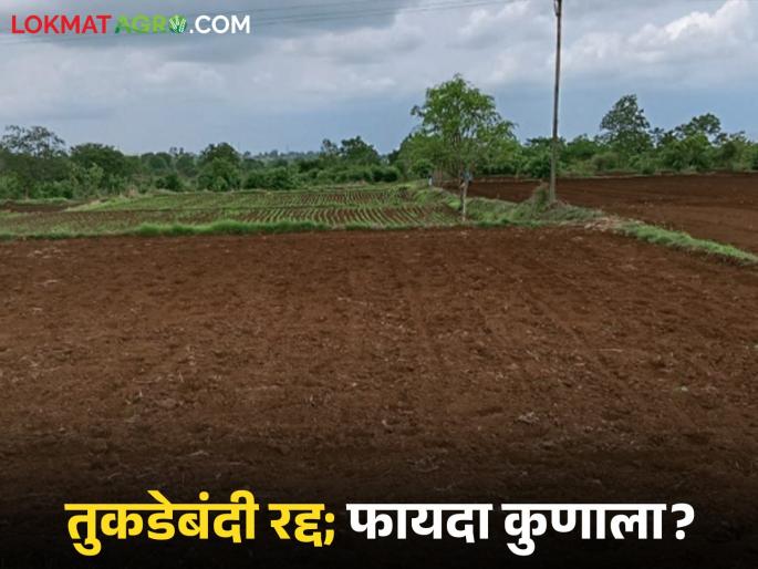 With the repeal of the land fragmentation act, even a single guntha will now be a piece of registration; who exactly will benefit from this? | तुकडेबंदी कायदा रद्दमुळे आता एक गुंठ्याचाही दस्त होणार; ह्याचा फायदा नक्की कुणाला होणार?