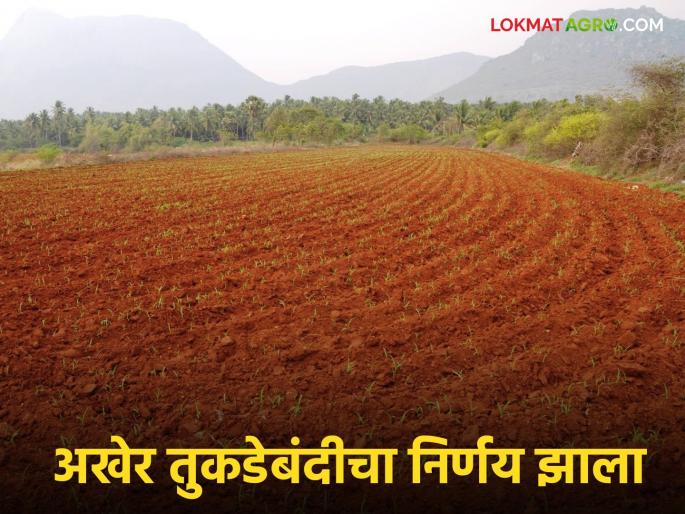 Land transactions pending under fragmentation will be facilitated; How will it benefit who? Read in detail | तुकडेबंदीखालील रखडलेले जमिनीचे व्यवहार होणार सुलभ; कुणाला कसा होणार फायदा? वाचा सविस्तर