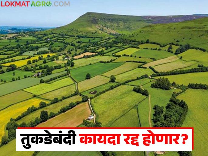 Agricultural Land Fragmentation Act likely to be repealed; What will be the decision? Read in detail | Tukda Bandi Kayda : शेतजमीन तुकडेबंदी कायदा रद्द होण्याची शक्यता; काय होईल निर्णय? वाचा सविस्तर