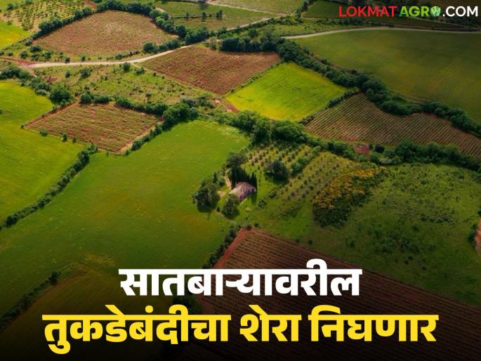 The necessary procedures for regularizing fragmentation have been prepared; now these five benefits will be available | तुकडेबंदी नियमित करण्यासाठी आवश्यक असणारी कार्यपद्धती तयार झाली; होणार 'हे' पाच फायदे The necessary procedures for regularizing fragmentation have been prepared; now these five benefits will be available | तुकडेबंदी नियमित करण्यासाठी आवश्यक असणारी कार्यपद्धती तयार झाली; होणार 'हे' पाच फायदे