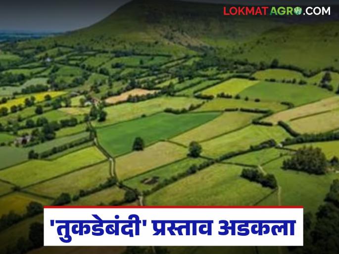 latest news Tukdebandi law: 'Tukdebandi' proposal stuck in Akola; Read in detail why the approval process was stopped | Tukdebandi law : अकोल्यात 'तुकडेबंदी' प्रस्ताव अडकला; मंजुरीची प्रक्रिया का थांबली वाचा सविस्तर