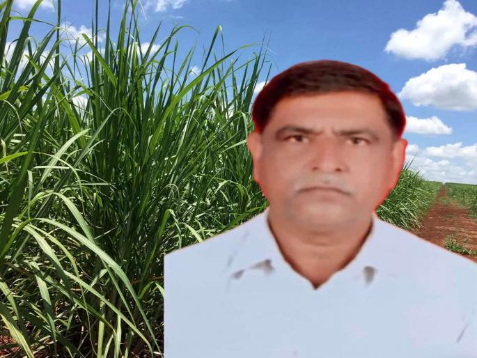 Farmer killed by putting shock absorber rod in his head while he was watering his crops | Dharashiv: डाेक्यात राॅड घालून शेतकऱ्याचा निर्घृण खून; शेतात आढळला मृतदेह Farmer killed by putting shock absorber rod in his head while he was watering his crops | Dharashiv: डाेक्यात राॅड घालून शेतकऱ्याचा निर्घृण खून; शेतात आढळला मृतदेह