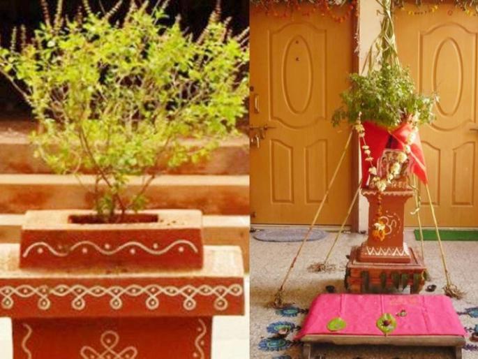 Tulasi Vivah 2020: Detailed information on how to get married, when to get married and why! | Tulasi Vivah 2020: तुळशीचे लग्न कसे लावावे, कधी लावावे आणि का लावावे, याची सविस्तर माहिती!