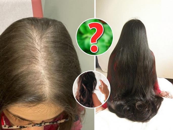 Homemade Tulsi Toner For Hair Homemade Tulsi Leafe Toner For Hair care Using tulsi leafe toner for hair can give you stronger, dandruff-free hair | मूठभर तुळशीची पाने, चमचाभर गुलाबपाणी, केसांसाठी करा औषधी टोनर - असरदार घरगुती उपाय...