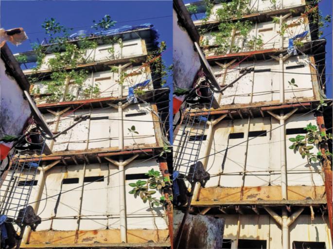 should we die here now an urgent question of the residents of tulsiwadi transit camp | आता आम्ही इथेच जीव सोडायचा का? तुळशीवाडीतील रहिवाशांचा उद्विग्न सवाल should we die here now an urgent question of the residents of tulsiwadi transit camp | आता आम्ही इथेच जीव सोडायचा का? तुळशीवाडीतील रहिवाशांचा उद्विग्न सवाल