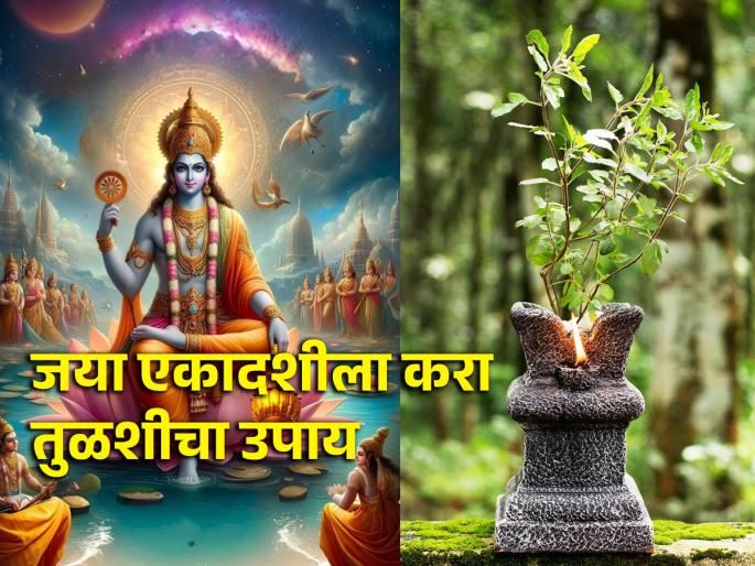 Jaya Ekadashi 2024: Shri Krishna had told Yudhishthira about the fast of Jaya Ekadashi; Use Tulsi this way on this day! | Jaya Ekadashi 2024: श्रीकृष्णांनी युधिष्ठिराला सांगितले होते जया एकादशीचे व्रत; या दिवशी तुळशीचा असा करा वापर! Jaya Ekadashi 2024: Shri Krishna had told Yudhishthira about the fast of Jaya Ekadashi; Use Tulsi this way on this day! | Jaya Ekadashi 2024: श्रीकृष्णांनी युधिष्ठिराला सांगितले होते जया एकादशीचे व्रत; या दिवशी तुळशीचा असा करा वापर!