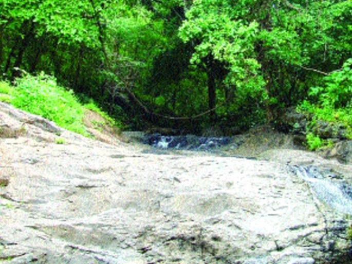 Tungareshwar Sanctuary Complex Eco-Sensitive | तुंगारेश्वर अभयारण्य परिसर इको सेन्सेटीव्ह Tungareshwar Sanctuary Complex Eco-Sensitive | तुंगारेश्वर अभयारण्य परिसर इको सेन्सेटीव्ह