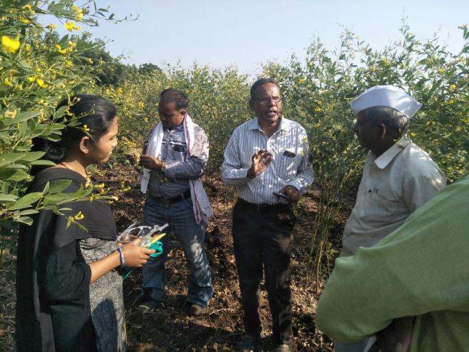 Guidelines for farmers in Malegaon taluka on worms on tur paddy! | मालेगाव तालुक्यातील शेतक-यांना तूर पिकावरील कीडसंदर्भात मार्गदर्शन! Guidelines for farmers in Malegaon taluka on worms on tur paddy! | मालेगाव तालुक्यातील शेतक-यांना तूर पिकावरील कीडसंदर्भात मार्गदर्शन!