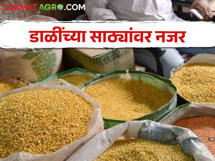 Latest News government to start portal to monitor pulses stock from april 15 | आजपासून डाळींच्या साठ्यांवर पोर्टलद्वारे निगराणी, व्यापाऱ्यांना करावी लागणार नोंद 