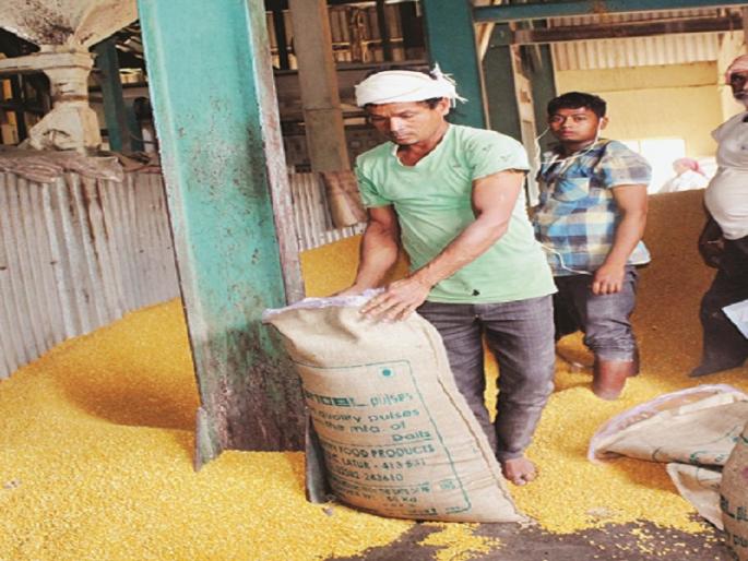 Latur dal is cooked in whole South India! Three thousand tons of pulses are produced daily | अख्ख्या दक्षिण भारतात शिजते लातूरची डाळ ! तीन हजार टन डाळीची दररोज होते निर्मिती Latur dal is cooked in whole South India! Three thousand tons of pulses are produced daily | अख्ख्या दक्षिण भारतात शिजते लातूरची डाळ ! तीन हजार टन डाळीची दररोज होते निर्मिती