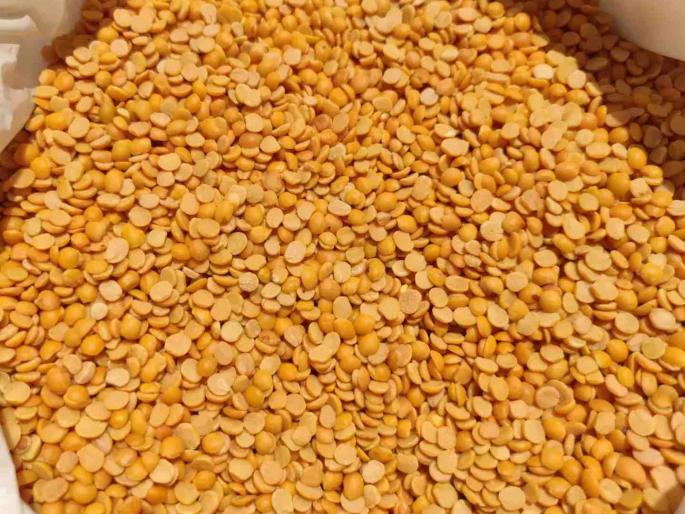 Tur dal Price drops by Rs 1500 market price 8 100 rupees Per quintal | पीक संकटात तरल, पण भावान मारलं