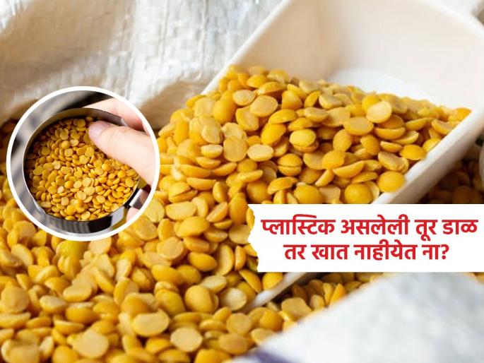 Easy tips and tricks are you eating plastic arhar - tur dal | प्लास्टिक असलेली तुरीची डाळ तर खात नाहीत ना आपण? घरीच २ मिनिटात चेक करा डाळीतील भेसळ Easy tips and tricks are you eating plastic arhar - tur dal | प्लास्टिक असलेली तुरीची डाळ तर खात नाहीत ना आपण? घरीच २ मिनिटात चेक करा डाळीतील भेसळ