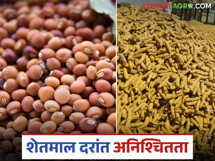 Market Update: latest newsTur, Halad prices fall by 'so many' thousands; Read the reason in detail | Market Update: तूर, हळदीच्या दरांत 'इतक्या' हजारांची घसरण; काय आहे कारण वाचा सविस्तर Market Update: latest newsTur, Halad prices fall by 'so many' thousands; Read the reason in detail | Market Update: तूर, हळदीच्या दरांत 'इतक्या' हजारांची घसरण; काय आहे कारण वाचा सविस्तर