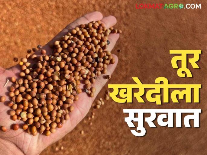 Tur Kharedi : Approval for new centers for tur purchase; What will be the registration and purchase process? Read in detail | Tur Kharedi : तूर खरेदीसाठी नवीन केंद्रांना मंजुरी; कशी असेल नोंदणी व खरेदी प्रक्रिया? वाचा सविस्तर Tur Kharedi : Approval for new centers for tur purchase; What will be the registration and purchase process? Read in detail | Tur Kharedi : तूर खरेदीसाठी नवीन केंद्रांना मंजुरी; कशी असेल नोंदणी व खरेदी प्रक्रिया? वाचा सविस्तर
