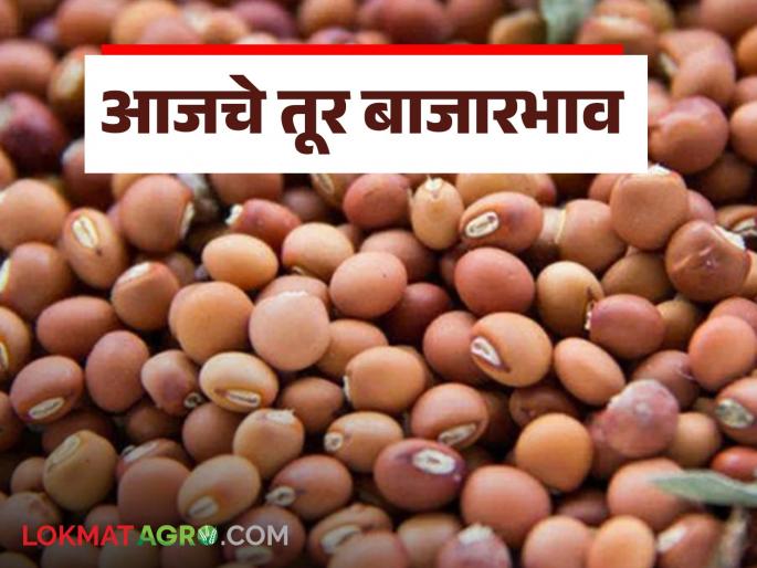 latest news Tur bajar bhav: Know in detail what are the tur market prices today | Tur bajar bhav : आजचे तूर बाजारभाव कसे आहेत जाणून घ्या सविस्तर latest news Tur bajar bhav: Know in detail what are the tur market prices today | Tur bajar bhav : आजचे तूर बाजारभाव कसे आहेत जाणून घ्या सविस्तर