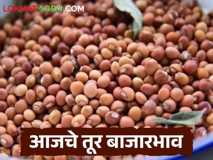 latest news Tur Bajar Bhav: Tur price stable in Paithan, read in detail how the price was obtained in Buldhana | Tur Bajar Bhav : पैठणमध्ये तूर दर स्थिर, बुलढाण्यात कसा मिळाला दर वाचा सविस्तर latest news Tur Bajar Bhav: Tur price stable in Paithan, read in detail how the price was obtained in Buldhana | Tur Bajar Bhav : पैठणमध्ये तूर दर स्थिर, बुलढाण्यात कसा मिळाला दर वाचा सविस्तर