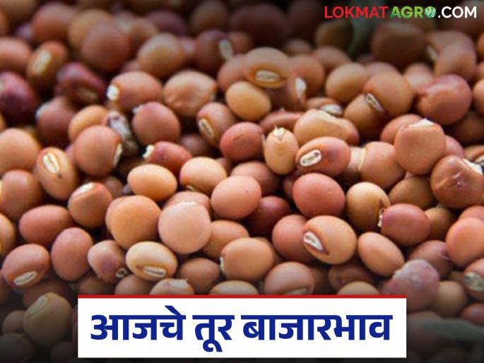 latest news Tur Market: Tur prices fluctuate again; Know Today's market prices in detail | Tur Market : तूर भावात पुन्हा उलटफेर; जाणून घ्या आजचे बाजारभाव सविस्तर