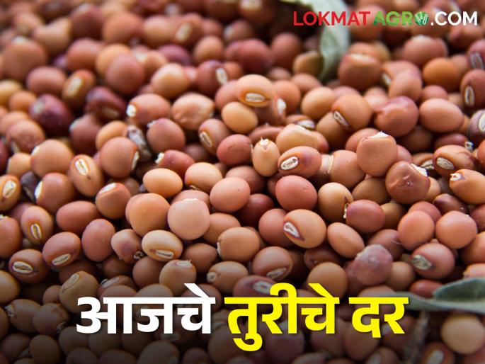 Latest News 02 March 2024 Todays Tur Market Price In maharashtra | लातूर बाजार समितीत तुरीला टॉपचा बाजारभाव, वाचा आजचे सविस्तर तूर दर Latest News 02 March 2024 Todays Tur Market Price In maharashtra | लातूर बाजार समितीत तुरीला टॉपचा बाजारभाव, वाचा आजचे सविस्तर तूर दर