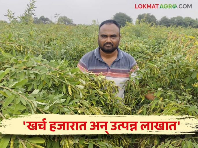 Success Story  : The farmer of Ashti has successfully farmed a chick pea with 'this' technique! Read in detail | Success Story  : आष्टीच्या शेतकर्याने 'या' तंत्राने केली झक्कास तुर शेती! वाचा सविस्तर Success Story  : The farmer of Ashti has successfully farmed a chick pea with 'this' technique! Read in detail | Success Story  : आष्टीच्या शेतकर्याने 'या' तंत्राने केली झक्कास तुर शेती! वाचा सविस्तर