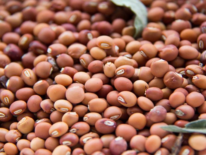 question being asked about caste while purchasing toor dal | तूरखरेदीसाठी शेतकऱ्यांना विचारली जातेय जात question being asked about caste while purchasing toor dal | तूरखरेदीसाठी शेतकऱ्यांना विचारली जातेय जात