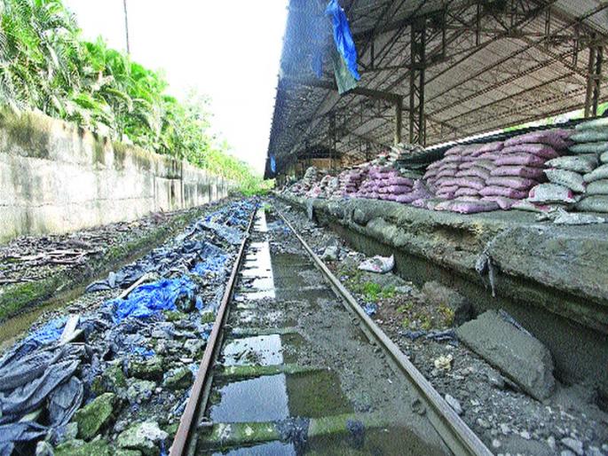 Water harvesting on cement with grains | धान्यासह सिमेंटवर जलवर्षाव Water harvesting on cement with grains | धान्यासह सिमेंटवर जलवर्षाव