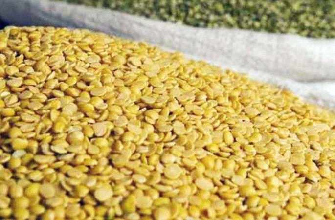 Turdal disappears from ration shop | रेशन दुकानातून तूरडाळ गायब  Turdal disappears from ration shop | रेशन दुकानातून तूरडाळ गायब