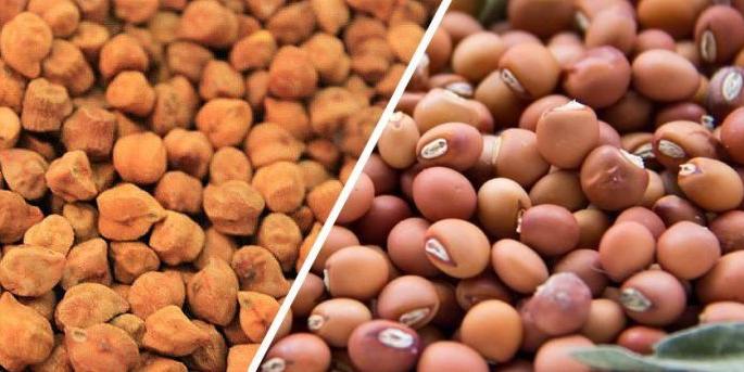 Find stocks of tur-gram in farmers' houses! | शेतकऱ्यांच्या घरातील तूर-हरभऱ्याचा साठा शोधणार!