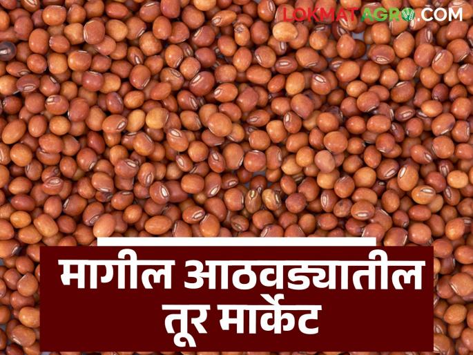 Latest News Tur Market How did price of tur last week see turiche bajarabhav | Tur Market : मागील आठवड्यात तुरीला दर कसे मिळाले? MSP पेक्षा कमी की अधिक