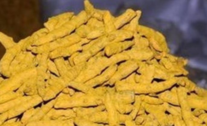 Y at the highest price of 29,000 per quintal in the Agricultural Produce Market Committee | वाई कृषी उत्पन बाजार समितीत हळदीला उच्चांकी २९ हजार प्रतीक्विंटल दर Y at the highest price of 29,000 per quintal in the Agricultural Produce Market Committee | वाई कृषी उत्पन बाजार समितीत हळदीला उच्चांकी २९ हजार प्रतीक्विंटल दर