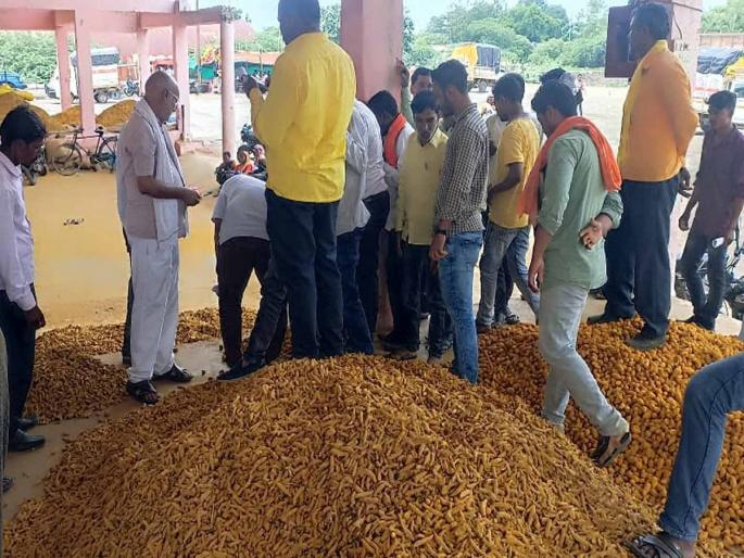 In the market yard of Hingoli, turmeric rate fell by one and a half thousand, the arrival also slowed down | हिंगोलीच्या मार्केट यार्डात हळद दीड हजाराने घसरली, आवकही मंदावली In the market yard of Hingoli, turmeric rate fell by one and a half thousand, the arrival also slowed down | हिंगोलीच्या मार्केट यार्डात हळद दीड हजाराने घसरली, आवकही मंदावली