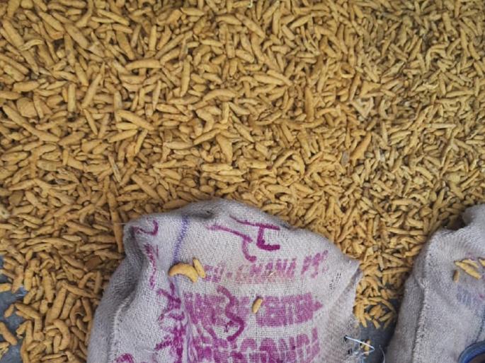 35,000 for turmeric on the third day in the Mondya of Vasmat; 8 thousand kattas were received | वसमतच्या मोंढ्यात हळदीला तिसऱ्या दिवशी ३५ हजारांचा दर; ८ हजार कट्ट्यांची झाली आवक 35,000 for turmeric on the third day in the Mondya of Vasmat; 8 thousand kattas were received | वसमतच्या मोंढ्यात हळदीला तिसऱ्या दिवशी ३५ हजारांचा दर; ८ हजार कट्ट्यांची झाली आवक