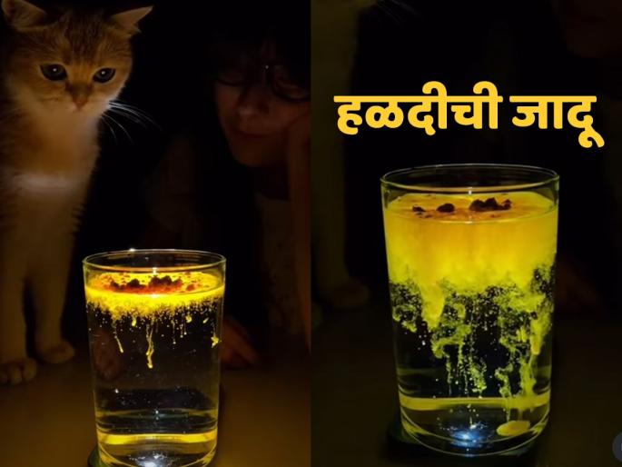 Turmeric glow trend, have you tried it ? Instagram is filled with viral videos, see this magical trend | हळद चालली वाया पण दीदी को ट्राय करना है! मांजर आणि चमचाभर हळदीचा पाहा चमत्कार..
