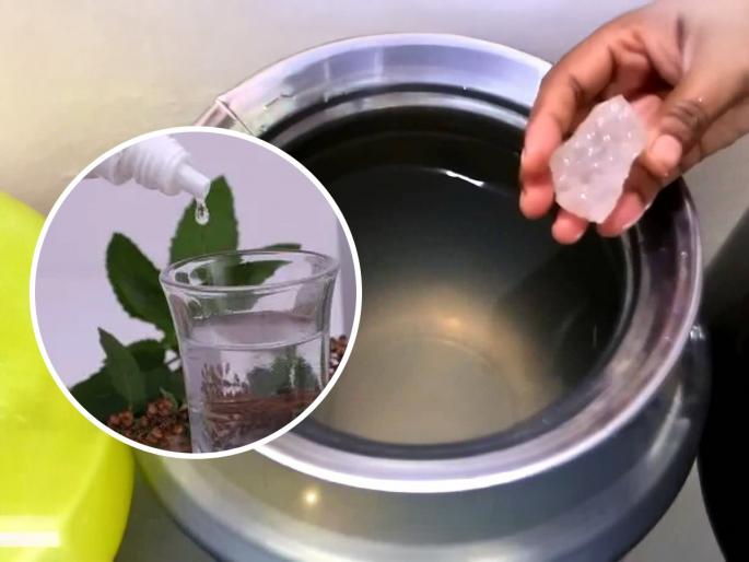 Follow these 3 traditional remedies to keep water clean, the nutrients in the water will increase and the water will remain fragrant. | पाणी स्वच्छ ठेवण्यासाठी करा ३ पारंपरिक उपाय, पाण्यातील पोषण वाढेल आणि पाणी राहील सुगंधी Follow these 3 traditional remedies to keep water clean, the nutrients in the water will increase and the water will remain fragrant. | पाणी स्वच्छ ठेवण्यासाठी करा ३ पारंपरिक उपाय, पाण्यातील पोषण वाढेल आणि पाणी राहील सुगंधी