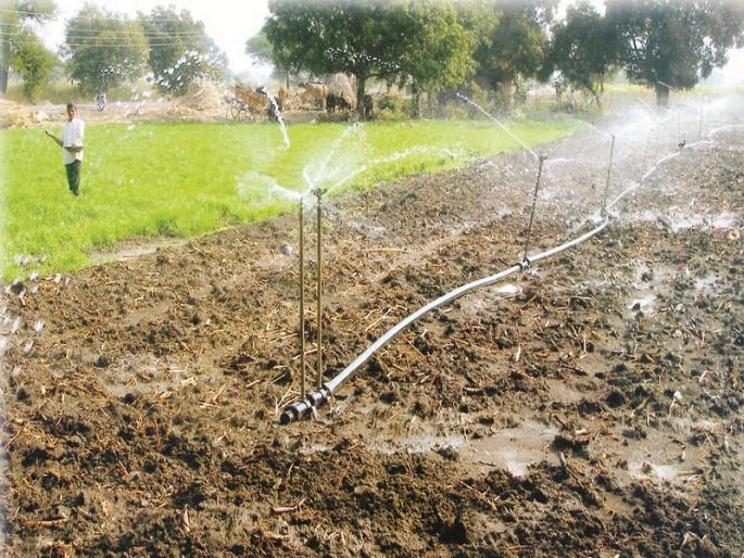 farmer company gives advantage to farmer at Malakavathe | माळकावठे येथील जिराईत शेतीला शेतकरी कंपनीचे वरदान farmer company gives advantage to farmer at Malakavathe | माळकावठे येथील जिराईत शेतीला शेतकरी कंपनीचे वरदान