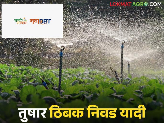 Latest news mahadbt lottery list Sprinkler Drip List Tushar, Drip Selection List Published on MahaDBT, Check List Here |  Sprinkler Drip List : महाडीबीटीवर तुषार, ठिबकची निवड यादी प्रसिद्ध, असे चेक करा तुमचं नाव
