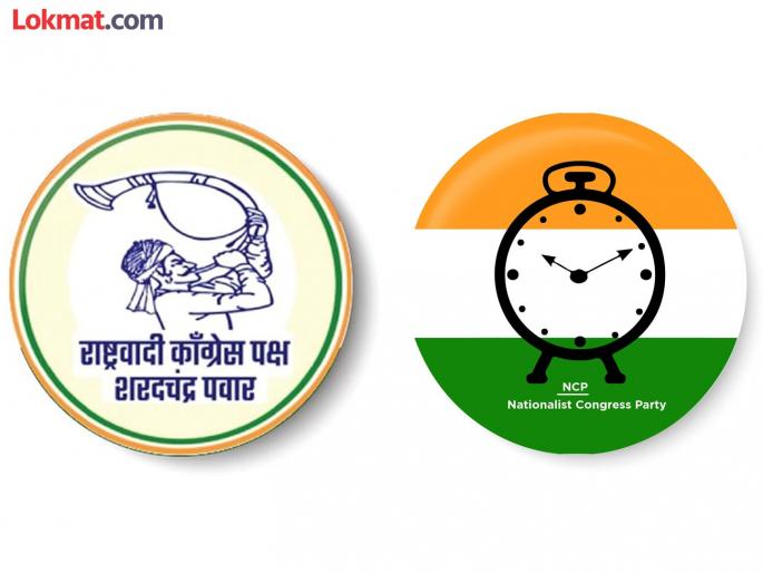 Zilla Parishad Election Infighting has begun among the NCP in Shirur taluka | Zilla Parishad Election : शिरुर तालुक्यातील राष्ट्रवादीमध्ये धुसफूस झाली सुरू Zilla Parishad Election Infighting has begun among the NCP in Shirur taluka | Zilla Parishad Election : शिरुर तालुक्यातील राष्ट्रवादीमध्ये धुसफूस झाली सुरू